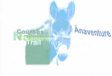 �naventure 2010