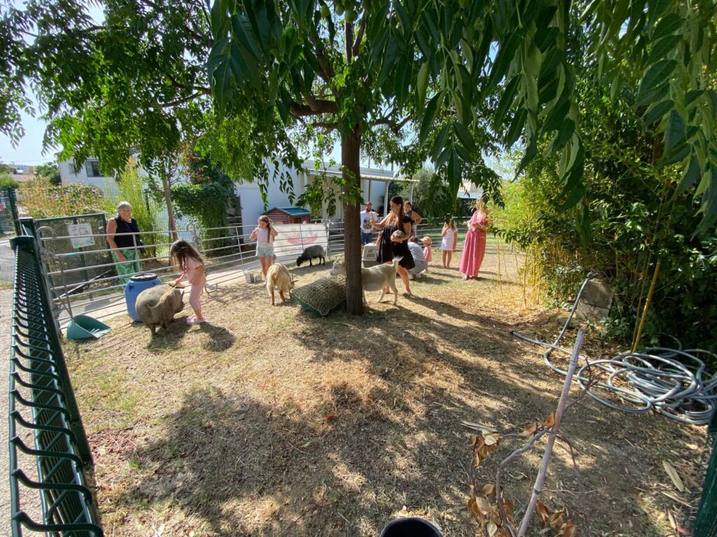 IMG-20260909-WA0011